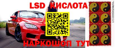 шишки Кингисепп