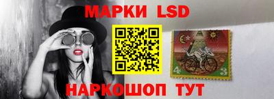 шишки Кингисепп