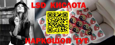 шишки Кингисепп